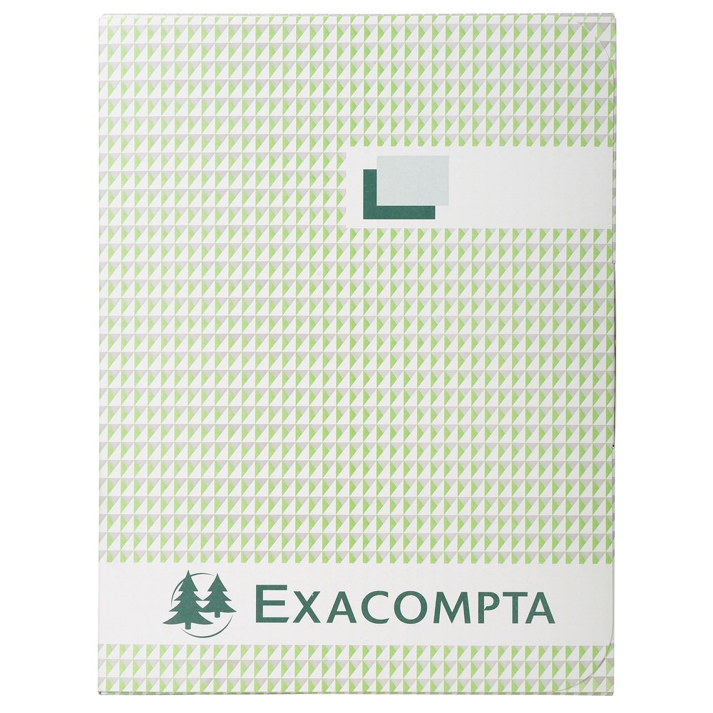 Exacompta 415E Geschäftsbuch DIN A4 (kariert 110 g/qm Inh. 500 Blatt, 1 Stück) schwarz