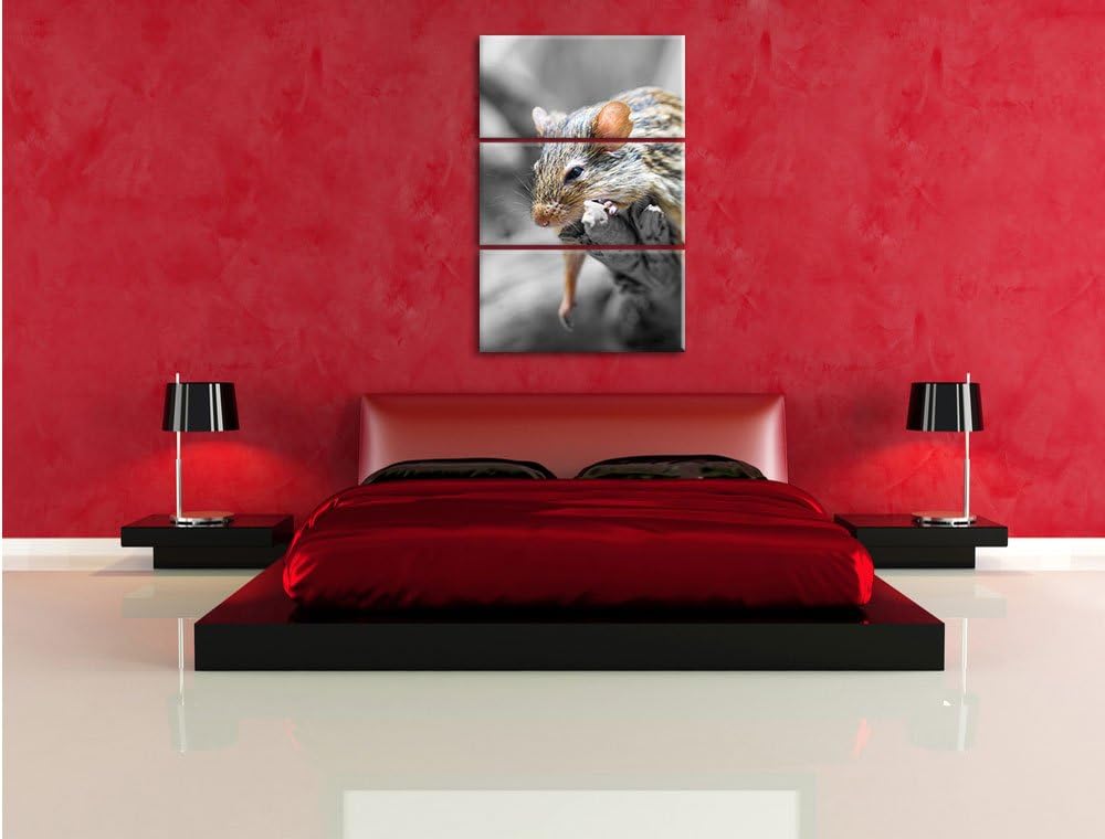 Pixxprint ruhende Feldmaus schwarz/weiss 3-Teiler Leinwandbild 120x80 Bild auf Leinwand