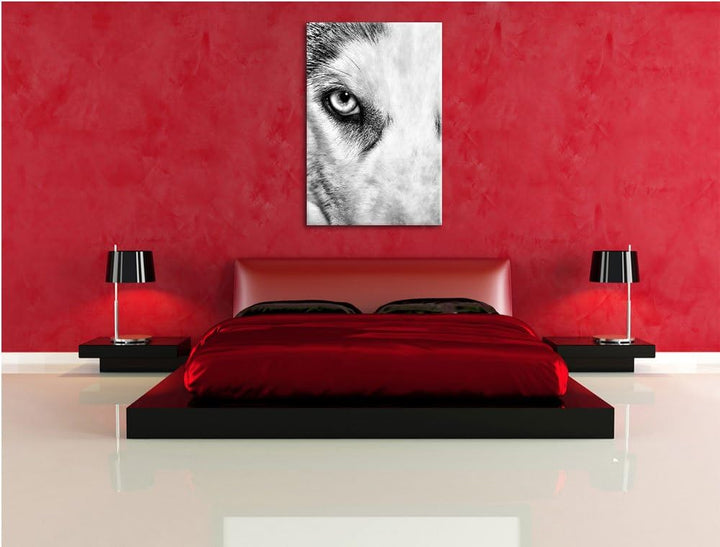 Pixxprint Husky mit Eisblauen Augen / 100x70cm Leinwandbild bespannt auf Holzrahmen/Wandbild Kunstdr