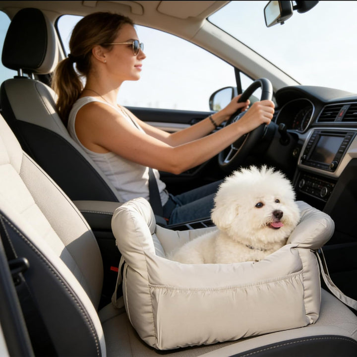 Galatée Autositz Für Haustiere, Hundesitz Fürs Auto, Hundetasche Mit Sicherheitsleine, Modische Haus
