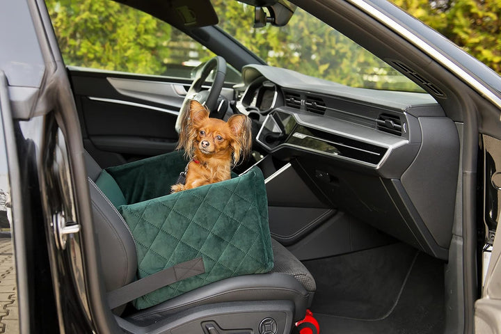 BOUTIQUE ZOO Exclusive Hunde Autositz | Autositz für Hunde, Katzen, Haustier | Rückbank, Beifahrersi