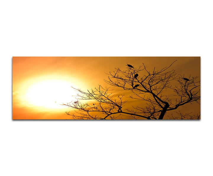 Paul Sinus Art Panoramabild auf Leinwand und Keilrahmen 150x50cm Nepal Baum Vögel Sonnenuntergang