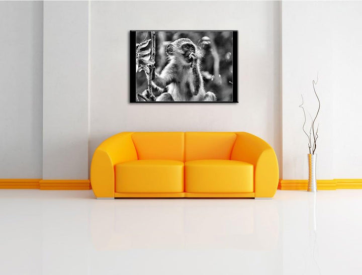 Pixxprint junges Äffchen auf Baum / 100x70cm Leinwandbild bespannt auf Holzrahmen/Wandbild Kunstdruc