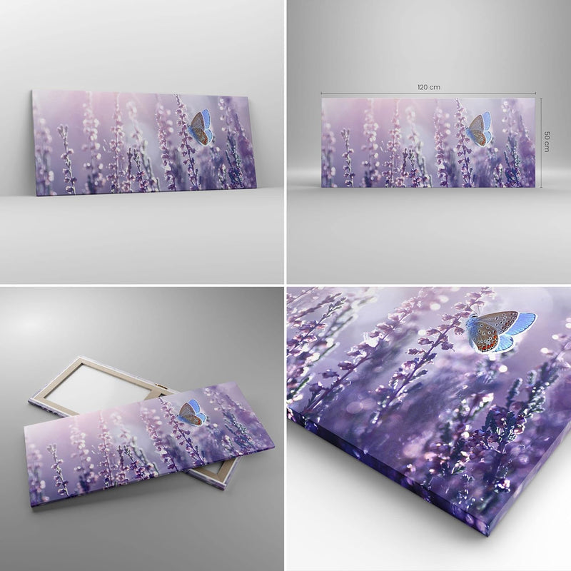 Wandbilder Dekoration Wohnzimmer Schmetterling Wiese Blume Panorama Bilder auf Leinwand 120x50cm Lei