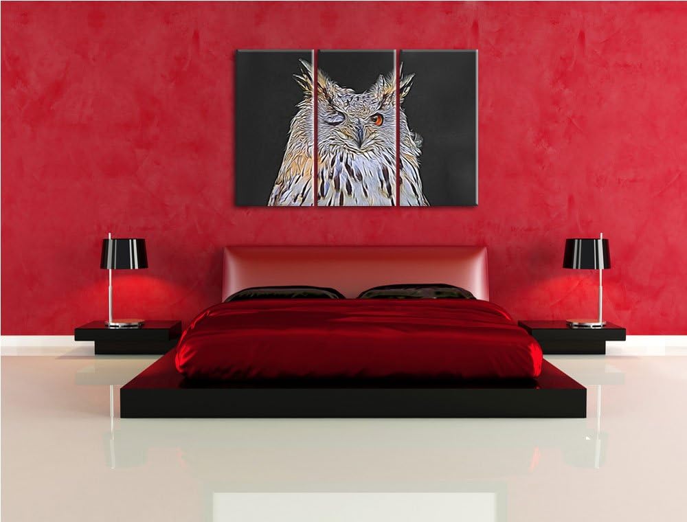 zwinkernde Waldohreule schwarz/weiss Deluxe 3-Teiler Leinwandbild 120x80 Bild auf Leinwand, XXL ries