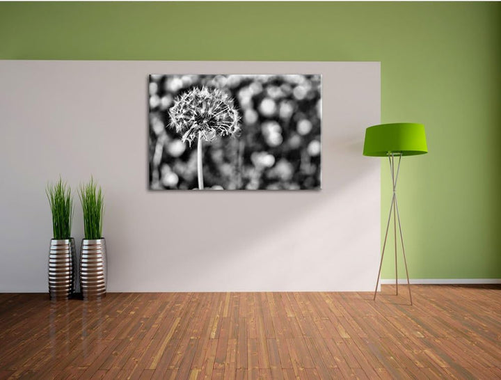 Pixxprint Pusteblume vor Wildwiese / 100x70cm Leinwandbild bespannt auf Holzrahmen/Wandbild Kunstdru