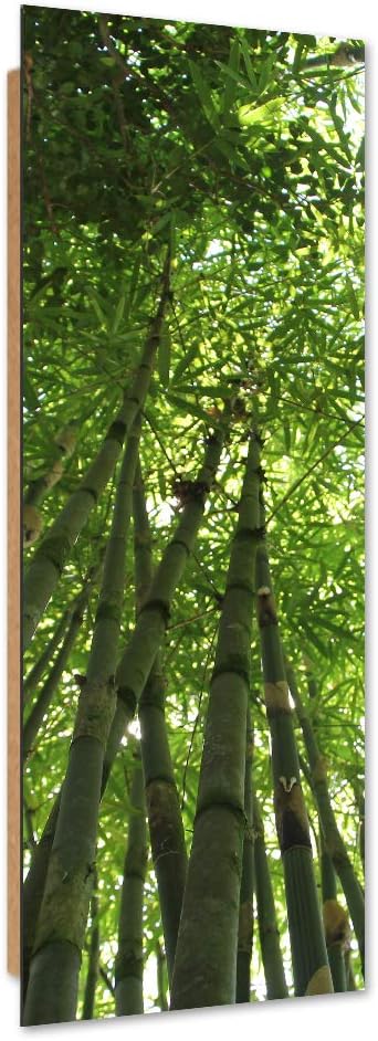 Wandbild XXL Natur Deko Kunst Bilder für Schlafzimmer Grün 60x150 cm M14628 60x150 cm, M14628 60x150