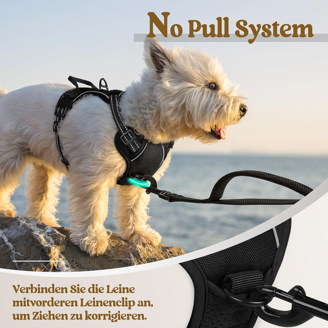 rabbitgoo Hundegeschirr Kleine Hunde, Anti Zug Geschirr mit Kontrolle, No Pull Verstellbar Hundegesc