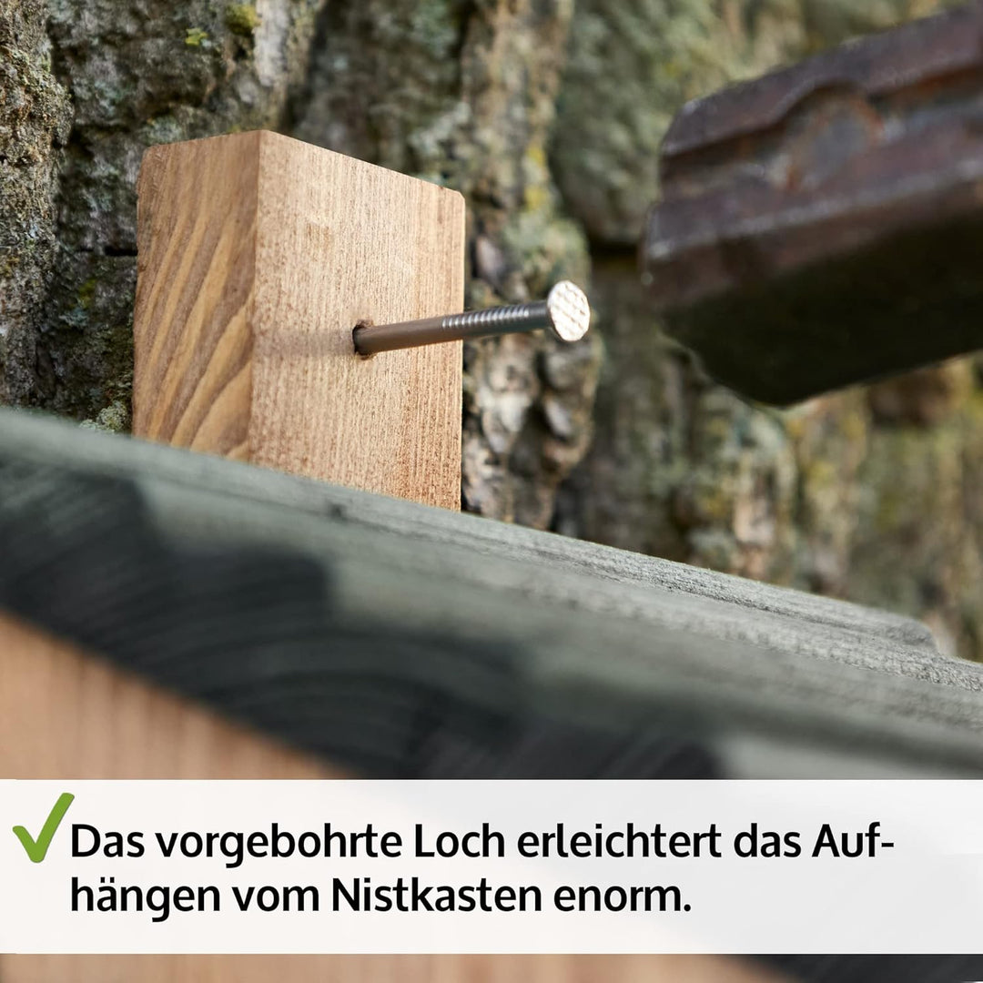 Zooprinz Nistkasten für Wildvögel – Massiv- Holz Vogelhäuschen mit sicherem Schutz gegen Nesträuber