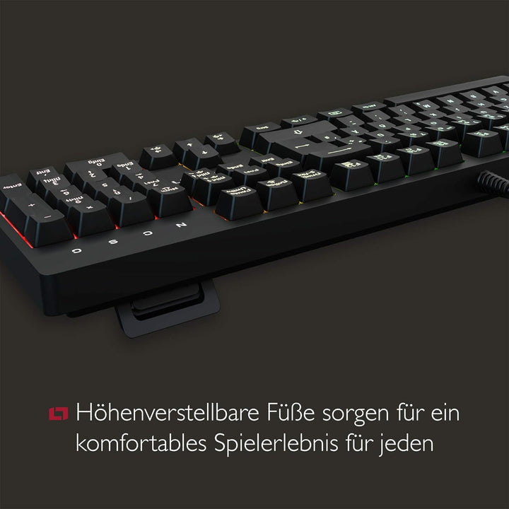 Lioncast LK100 RGB Gaming Keyboard für PC/Laptop/PS4/PS5, 19-Tasten-Rollover Anti-GHOSTING-Funktion,