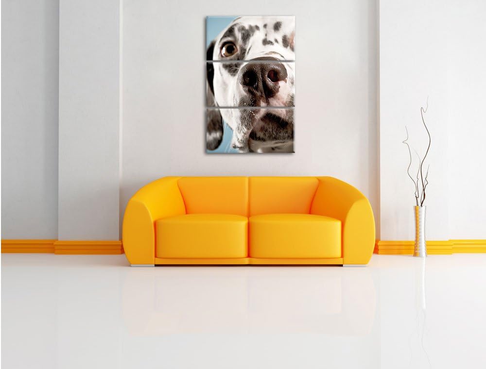 Pixxprint Süsser Dalmatiner als Leinwandbild/Grösse: 3 Teilig (120x80) cm/Wandbild/Kunstdruck/fertig