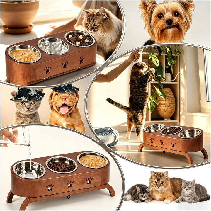 JAZUIHA Katzennapf Erhöht, geneigte Futternapf 3er Set, ergonomischer Fressnapf höhenverstellbar, Fu