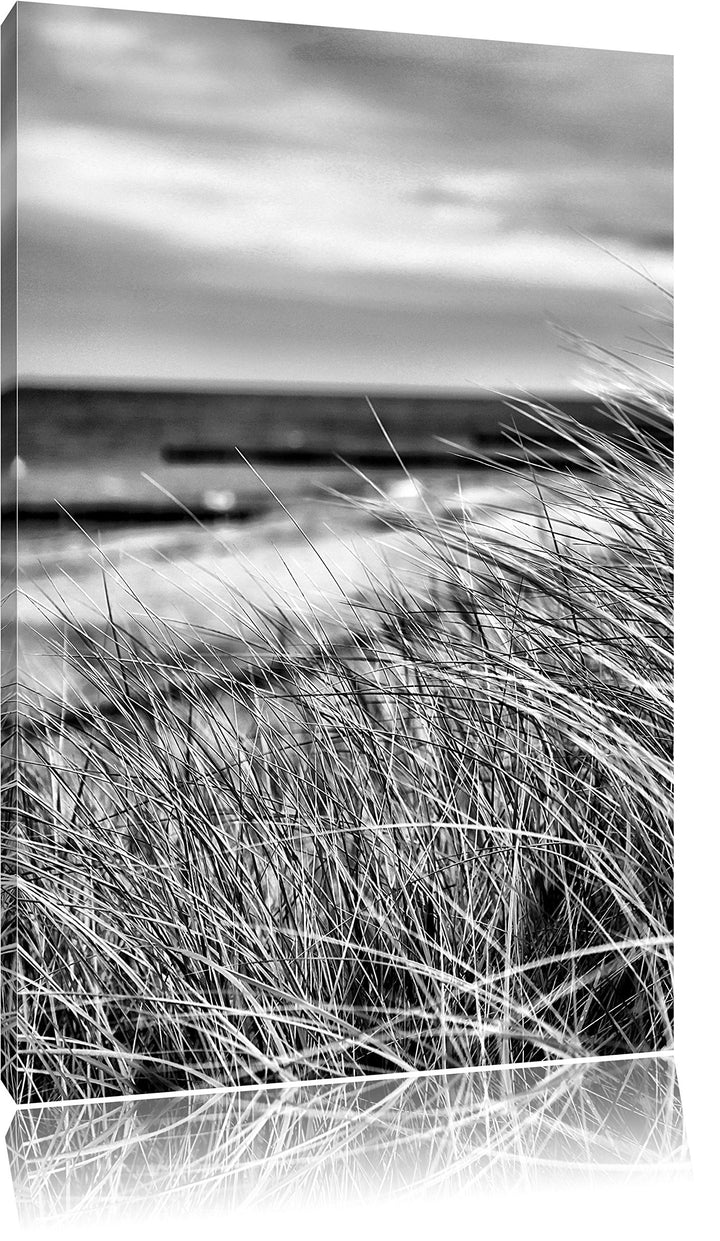 Pixxprint Monocrome, Sanddünen mit Schilfgras am Meer, Format: 100x70 auf Leinwand, 100x70