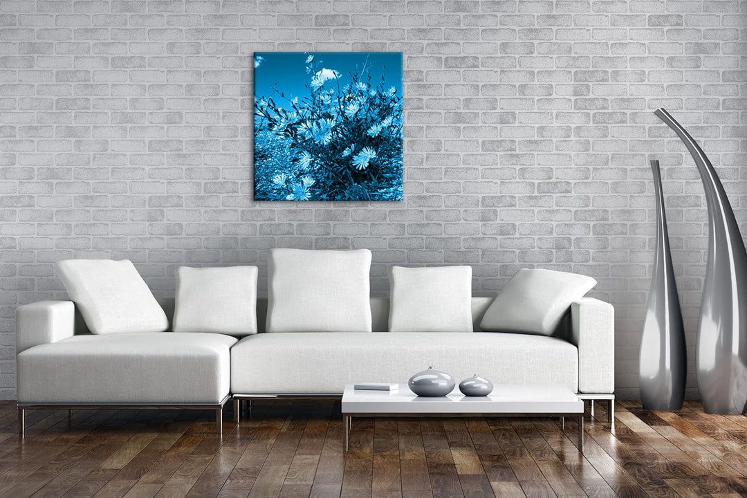deyoli Kornblumen im Frühling Format: 70x70 Effekt: Monocrome Blau als Leinwandbild, Motiv fertig ge