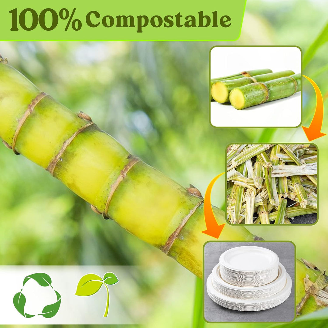 GREENESAGE Einwegteller 150 Stück Pappteller 26CM Weiss Rund Einweggeschirr Gross Einmalteller Zucke