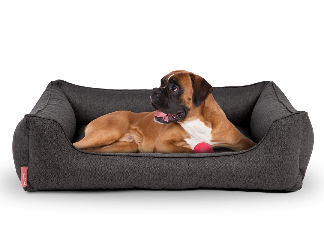 Hyggins Dreamer Plus Hundebett | Orthopädisch, Bezug abnehmbar und waschbar | Boden wasserabweisend