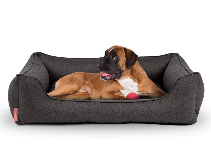 Hyggins Dreamer Plus Hundebett | Orthopädisch, Bezug abnehmbar und waschbar | Boden wasserabweisend