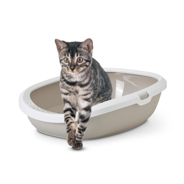 Katzentoilette "Gizmo Large" mokka / weiss 52 x 39,5 x 15 cm beige 52 x 39.5 x 15 cm, beige 52 x 39.