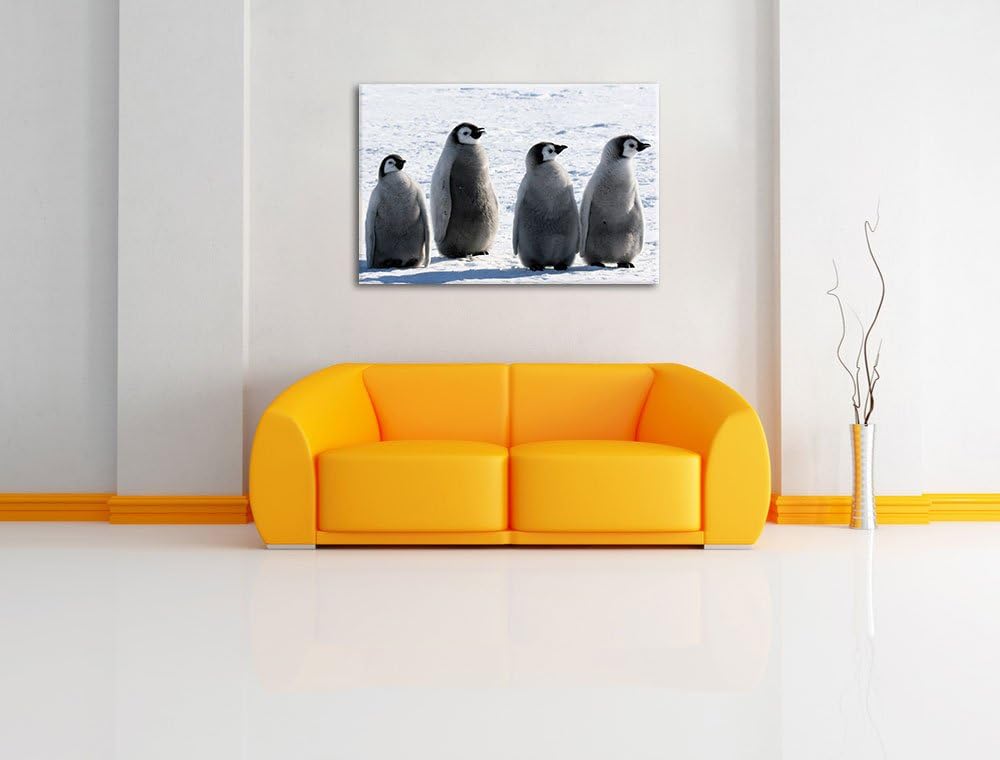 vier Kaiserpinguinküken Leinwand, XXL riesige Bilder fertig gerahmt mit Keilrahmen, Kunstdruck auf W