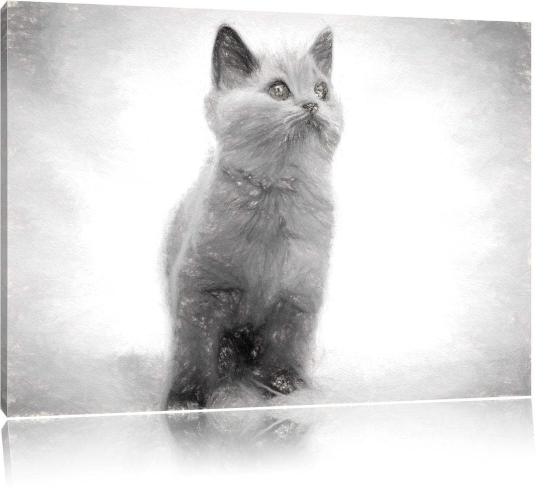 Pixxprint Niedliches Katzenbaby auf Teppich als Leinwandbild/Grösse: 100x70 cm/Wandbild/Kunstdruck/f