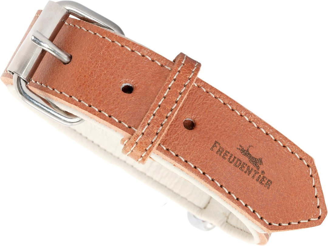 FREUDENTIER® Hundehalsband aus Leder, Made in Holland, gefüttert & super komfortabel, hochwertiges b