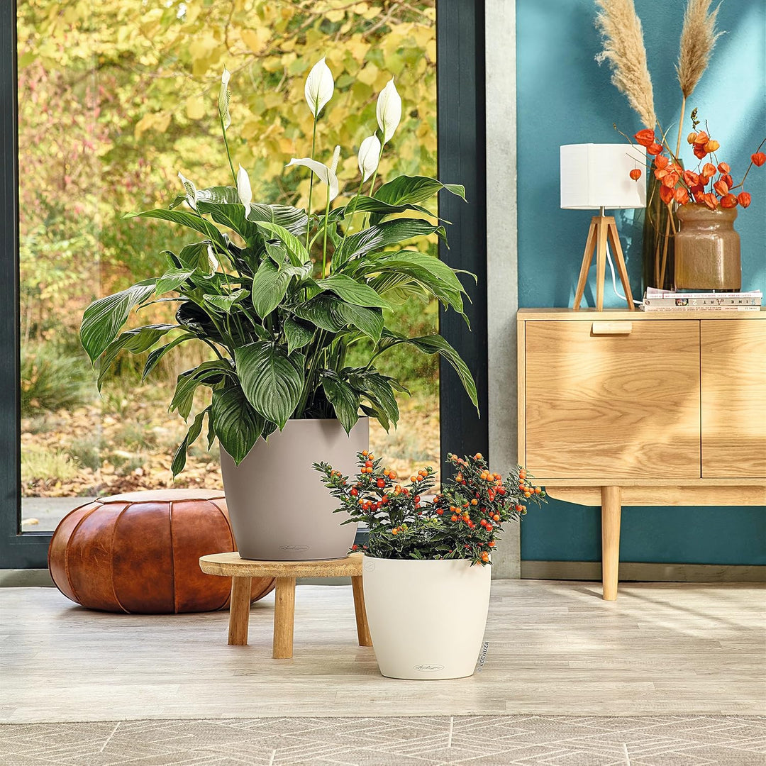 LECHUZA CLASSICO Color 35 sandbraun 13225 36x36x32.5 cm Sandbraun, 36x36x32.5 cm Sandbraun
