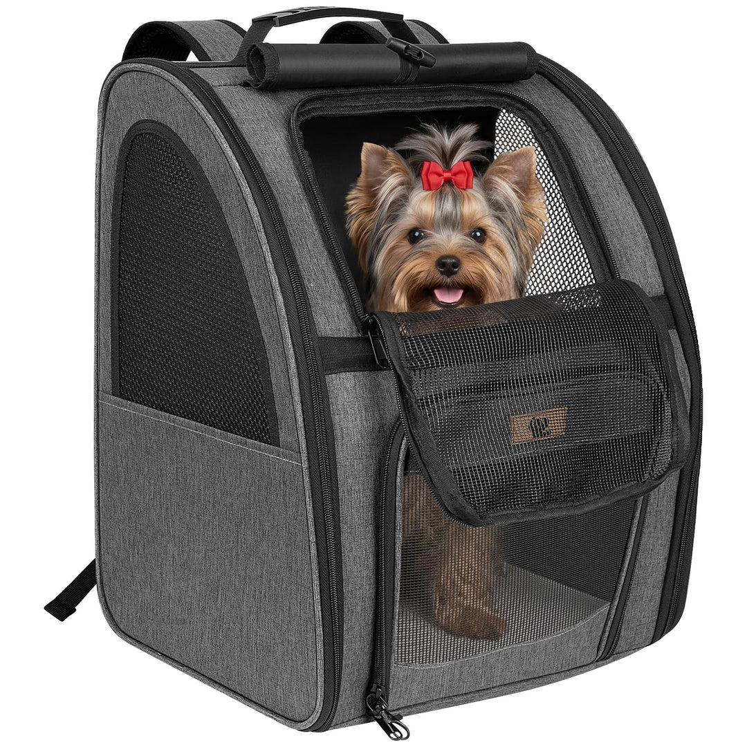 Aystkniet Katzenrucksack &amp; Hunderucksack bis 6kg, Grosse Haustier Transporttasche mit 270° Belüftung