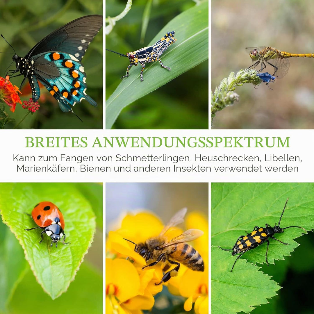 Einfach aufzubauendes Schmetterlingszucht-Set mit Raupen und Netz Käfig - Schmetterlingshaus und Sch