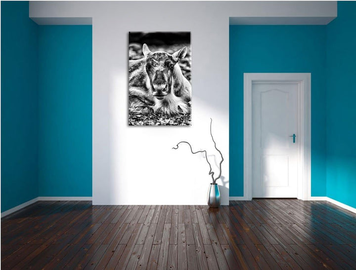 Monocrome, junger Elch, Format: 100x70 auf Leinwand, XXL riesige Bilder fertig gerahmt mit Keilrahme