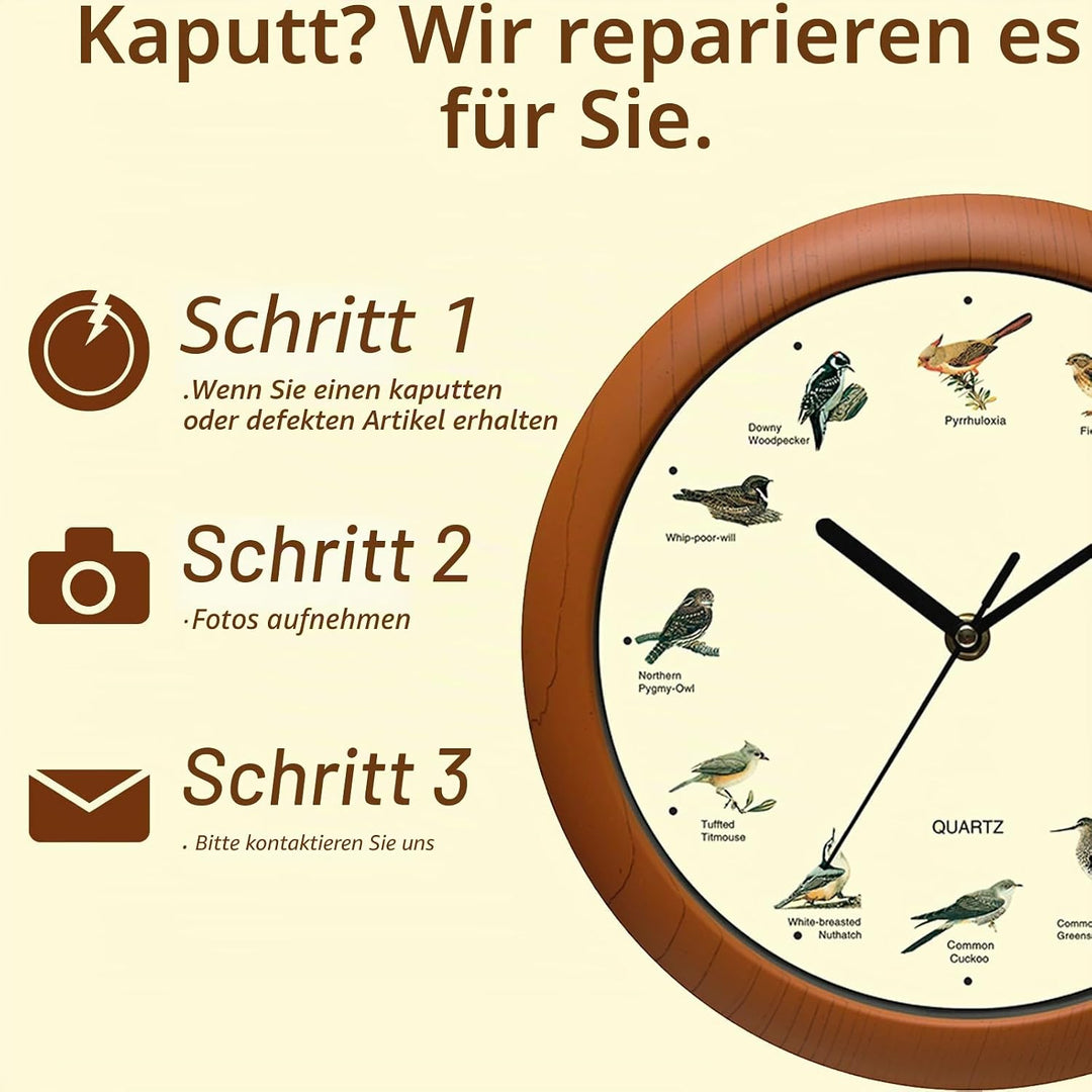 Belinlen Singender Vogel Wanduhr 30,5 cm der Vogel Namen und Lieder New 12 inch, New 12 inch
