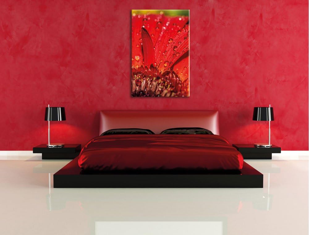 Pixxprint Tautropfen auf roter Blume, Format: 100x70 auf Leinwand, 100x70