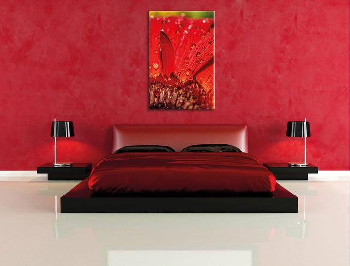 Pixxprint Tautropfen auf roter Blume, Format: 100x70 auf Leinwand, 100x70