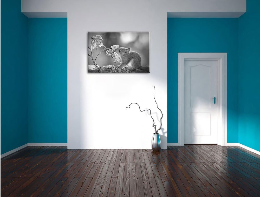 Pixxprint süsses Eichhörnchen riecht an Einer Blume Kunst B&amp;W, Format: 100x70 auf Leinwand, XXL ries