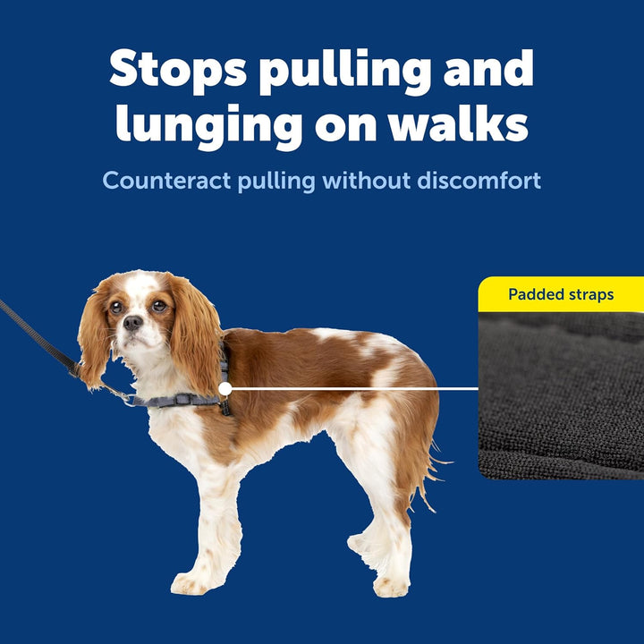 PetSafe Deluxe Easy Walk Hundegeschirr Stahl Small (Pack of 1), Stahl Small (Pack of 1)