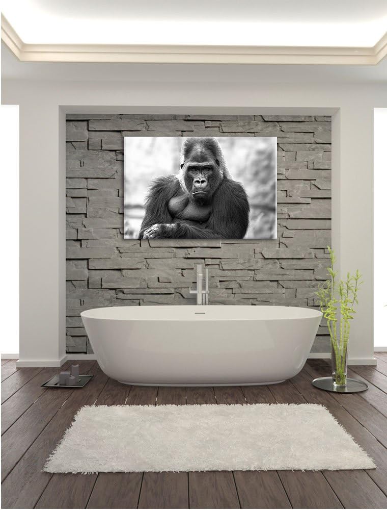 Pixxprint gelangweilter Gorilla Kunst B&W / 100x70cm Leinwandbild bespannt auf Holzrahmen/Wandbild K