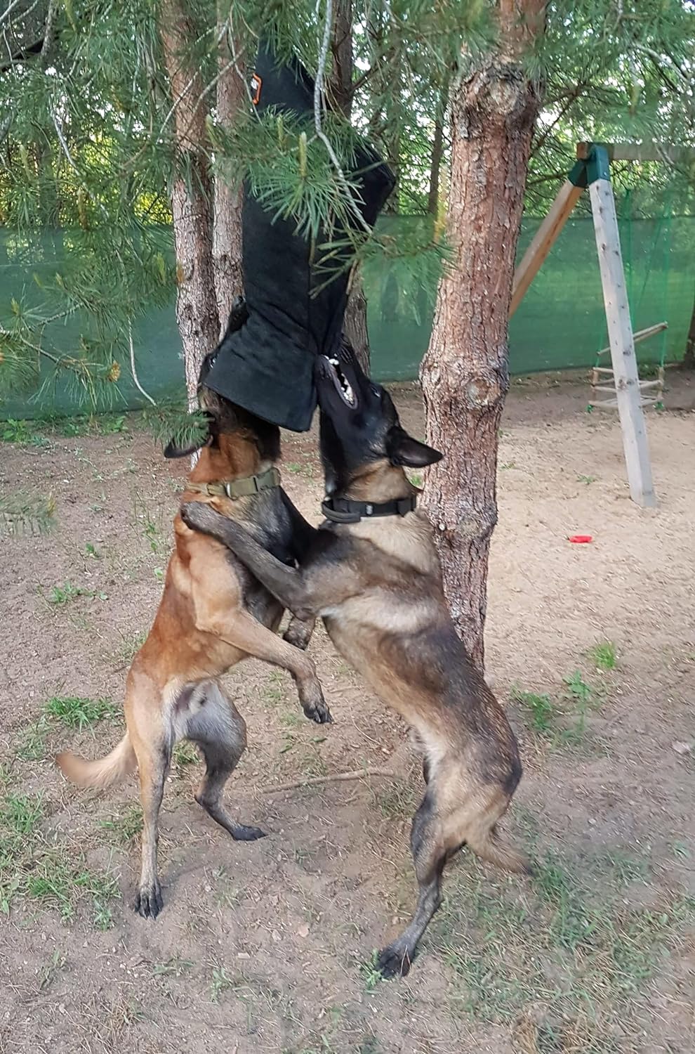 Dingo Gear Schutzarm Extern Soft aus Nylcot Schwarz Bissmanschette Hundeausbildung Hundetraining Bis