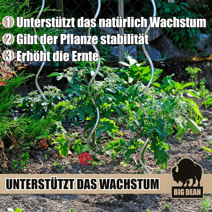 BigDean 40 Tomatenspiralstäbe 110cm voll verzinkt Tomatenstab Tomaten Ranke Pflanzstab Stahl Profi Q