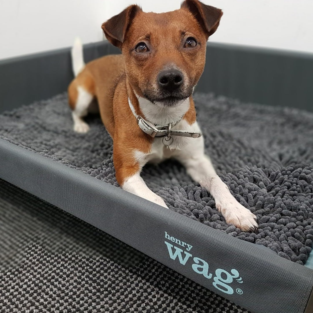 Henry Wag Microfibre Noodle Dog Mat 65 x 50cm farblos, 65 x 50cm farblos