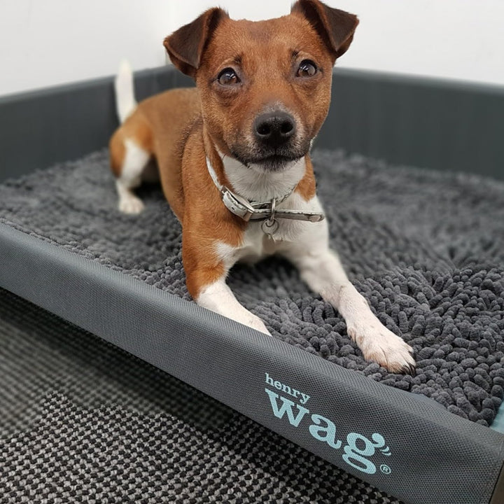 Henry Wag Microfibre Noodle Dog Mat 65 x 50cm farblos, 65 x 50cm farblos