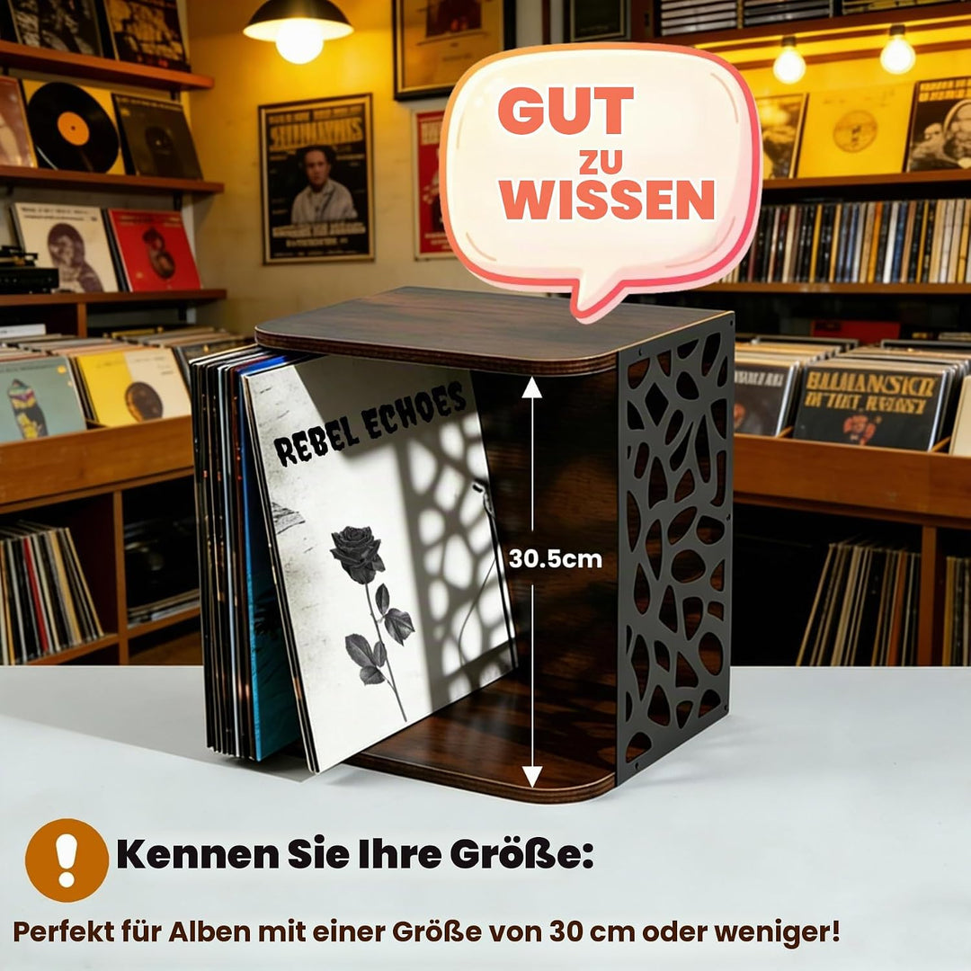 Schallplatten Aufbewahrung bis zu 60 Alben Stapelbar Vinyl Halter | Schallplattenständer aus Metall