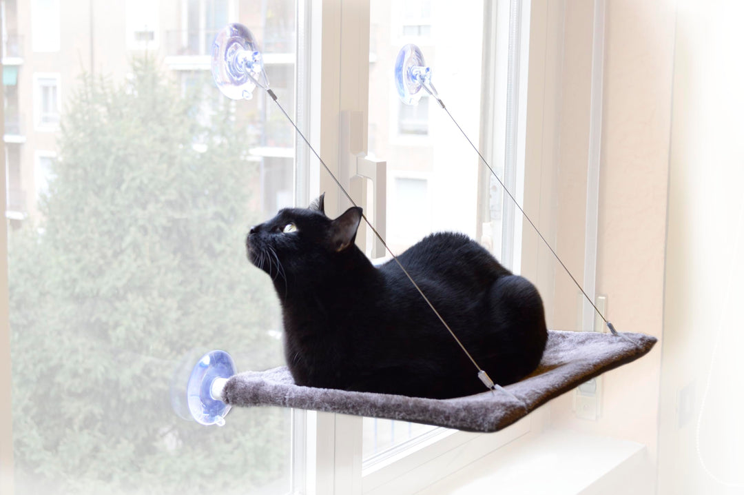 Cat View - Hängematte mit Fenster für Katzen