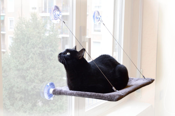 Cat View - Hängematte mit Fenster für Katzen