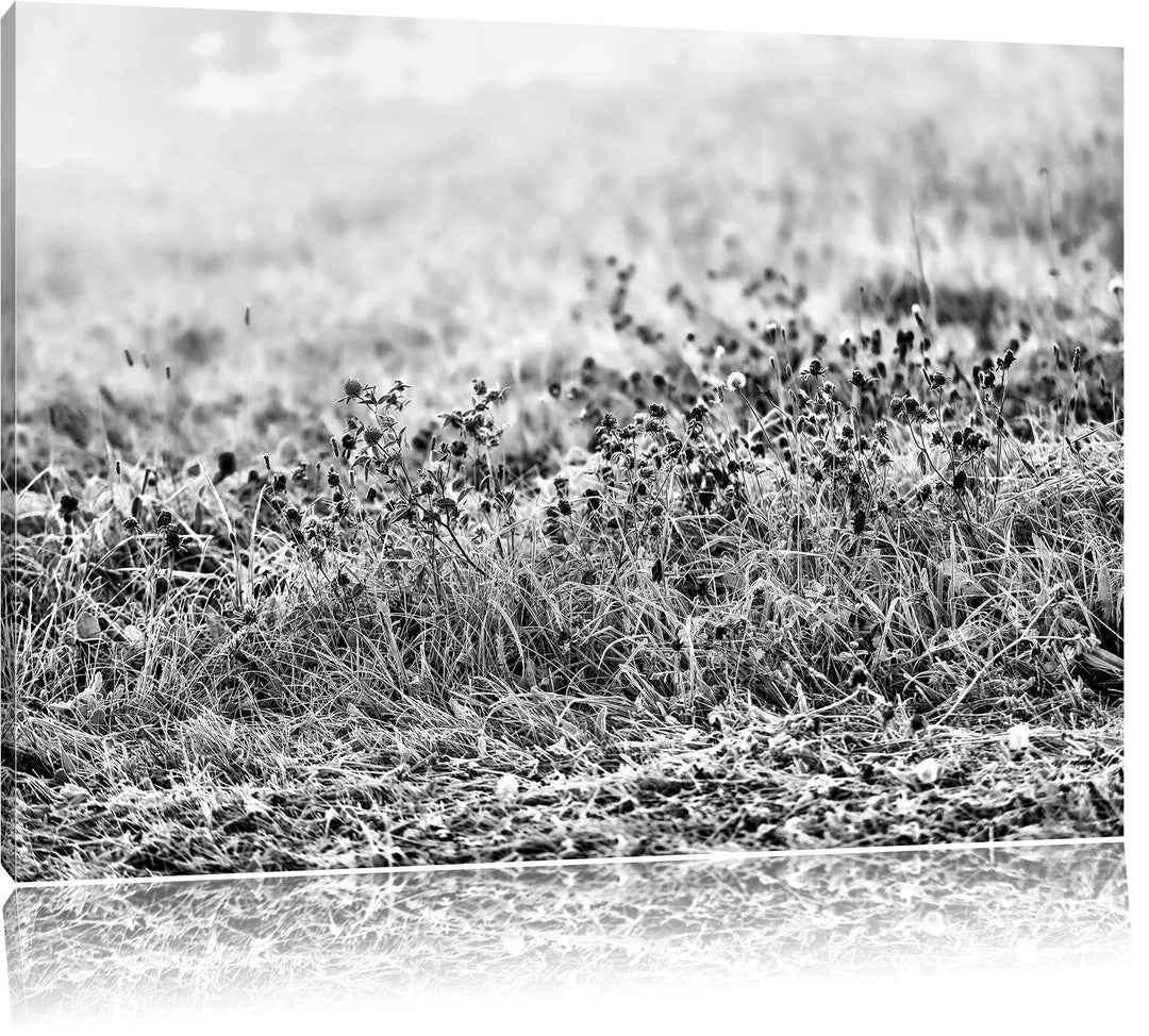 Pixxprint Lila Distel Feld im Retro Look als Leinwandbild | Grösse: 100x70 cm | Wandbild | Kunstdruc
