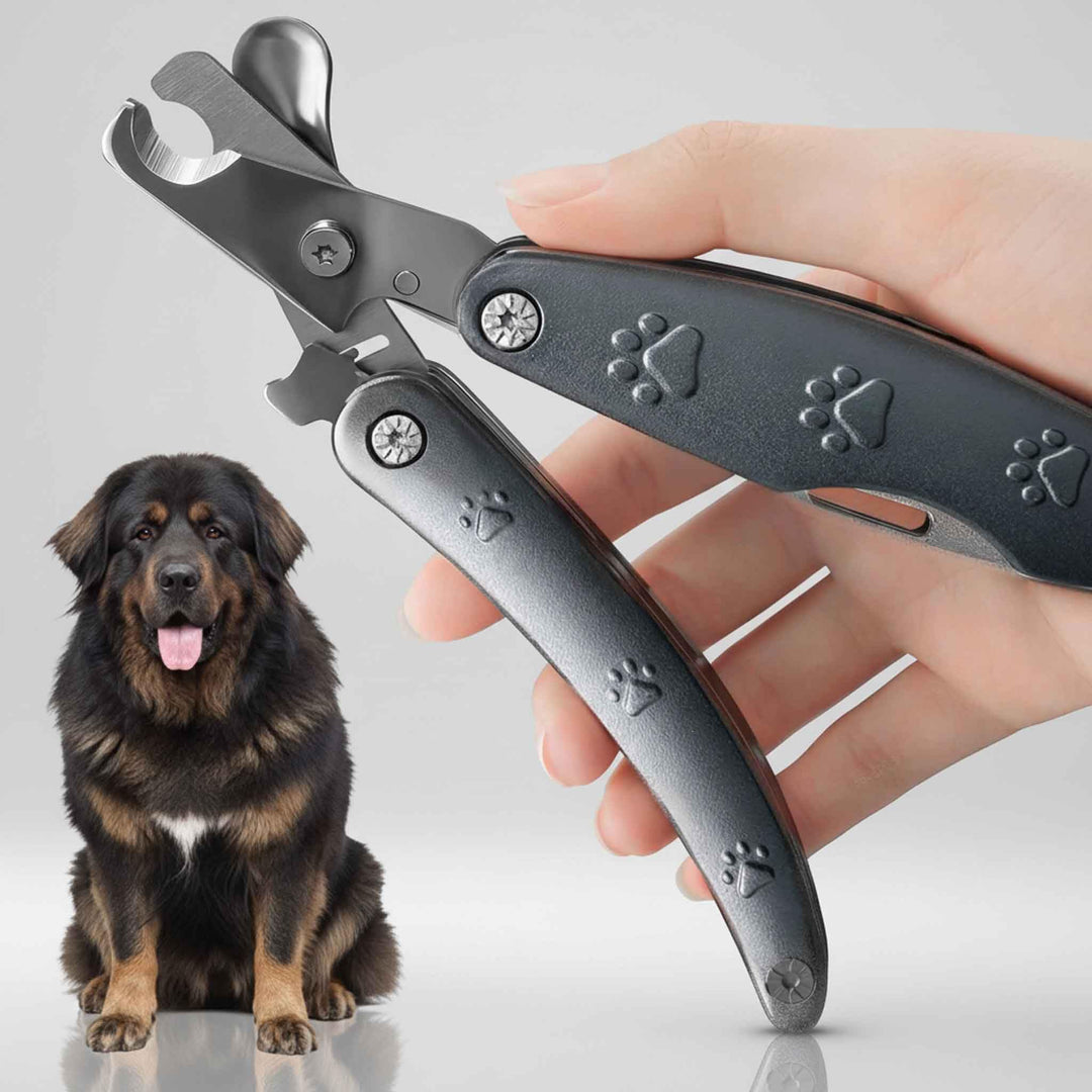 Bester Hunde-Nagelschneider für angstempfindliche Hunde, leise, schärfste und glatteste Hunde-Nagelk