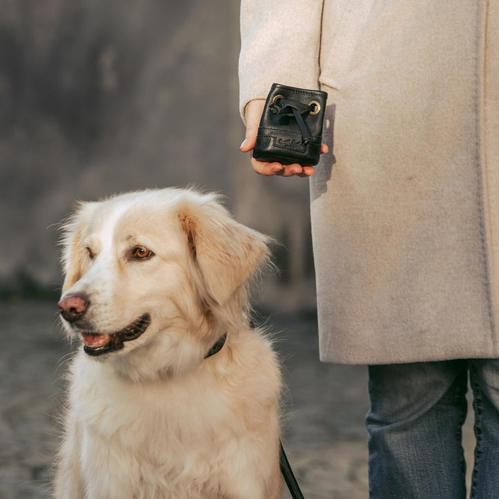 Gusti Leder Leckerlitasche Alaric - Futterbeutel Hund Vierbeiner Schwarz Leder