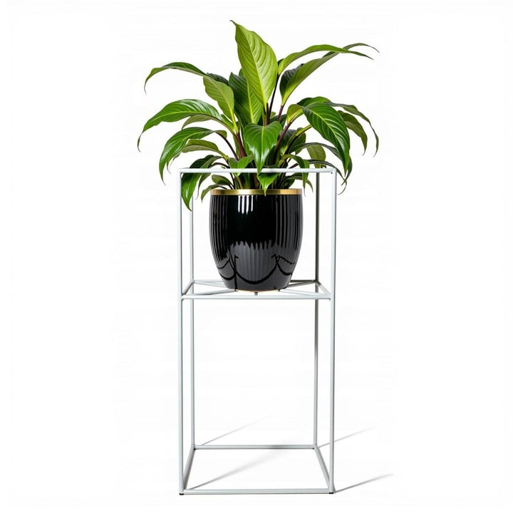 Pflanzenständer Filo - 24x24x40cm - Farbe Weiss - für Zimmerblumen - Metallregal - Dekorativer Tisch