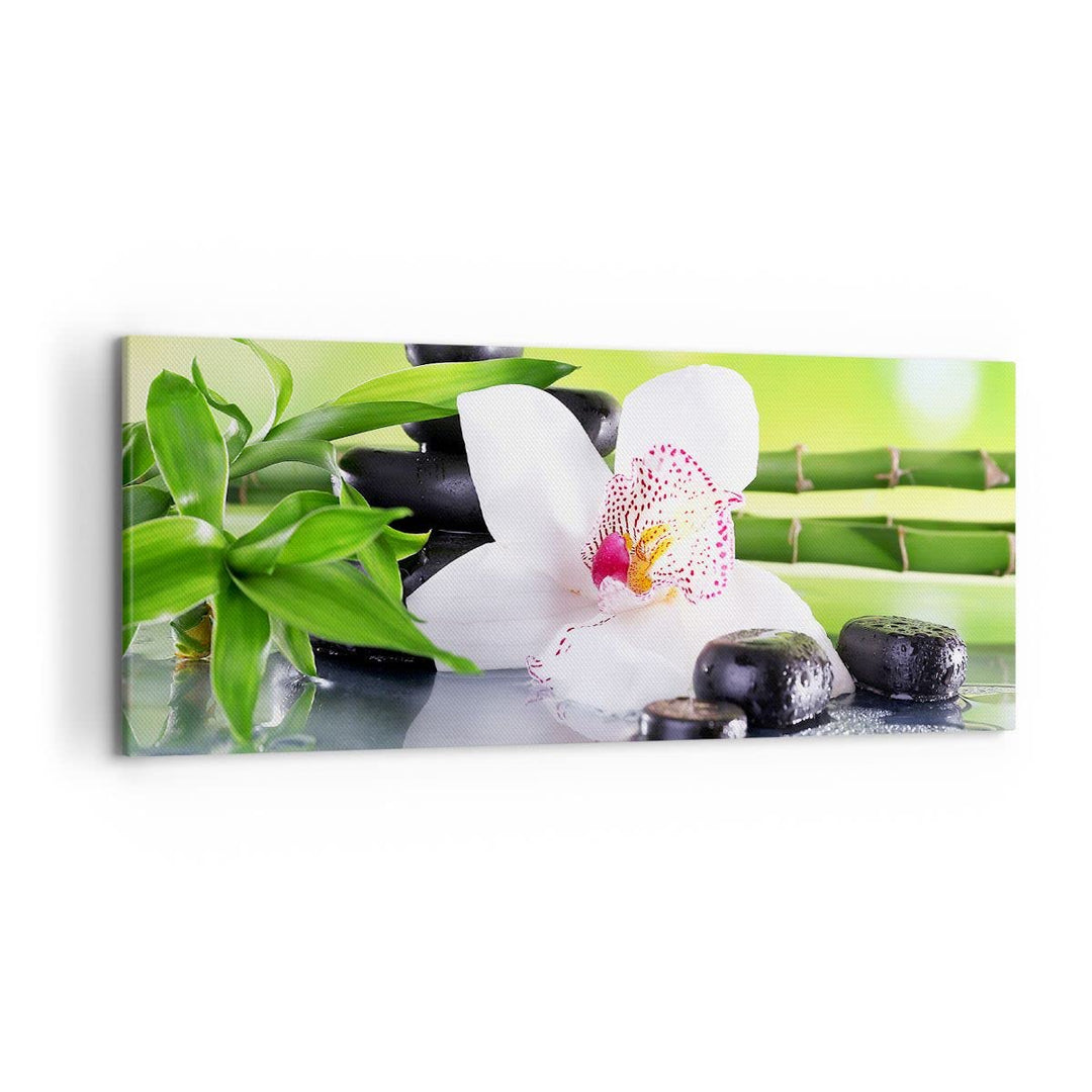 Wandbilder Dekoration Wohnzimmer blume orchidee Panorama Bilder auf Leinwand 120x50cm Leinwandbild m