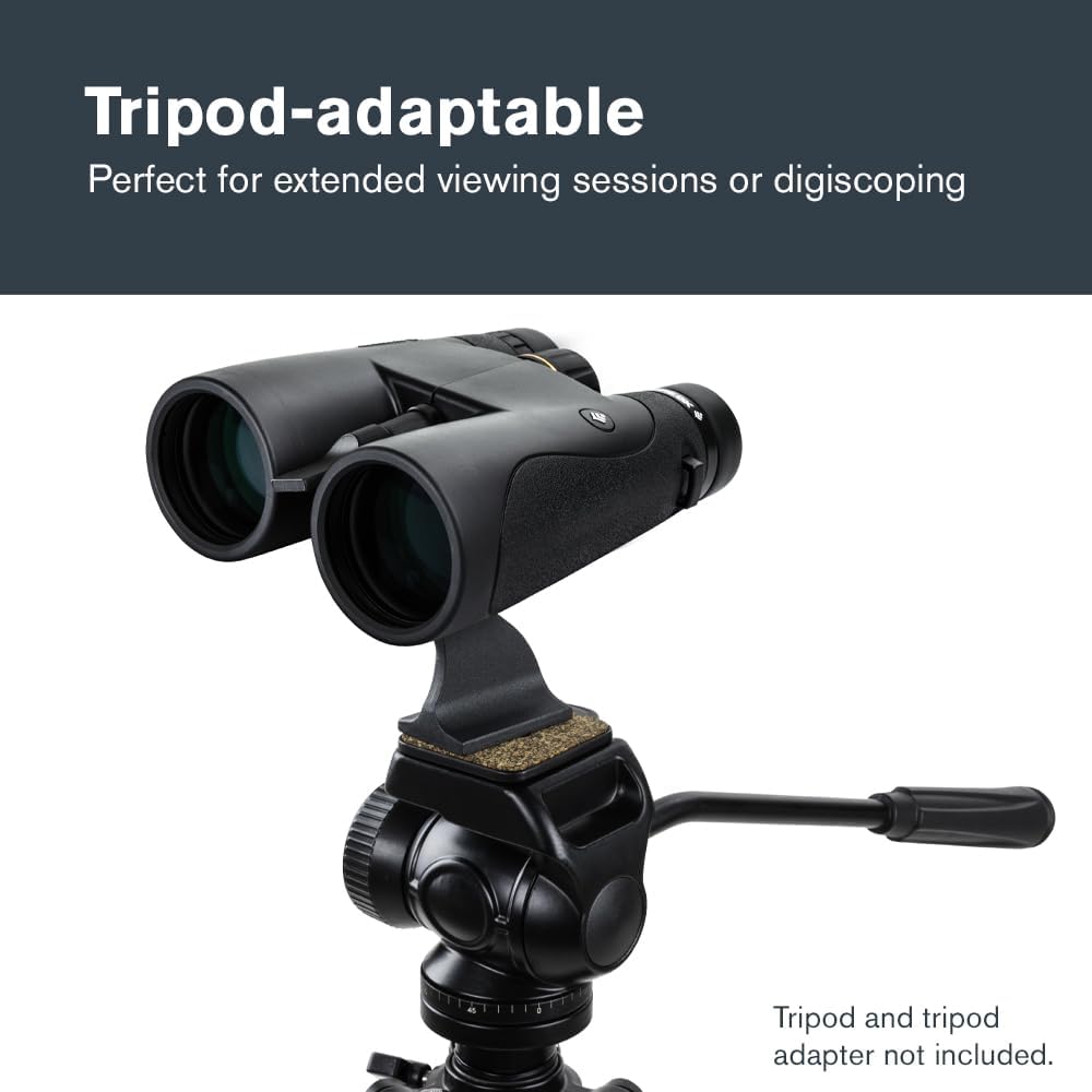 Celestron 72325 Nature DX 10x50 Fernglas für Natur- und Vogelbeobachtungen, vollvergüter mit BaK-4-P