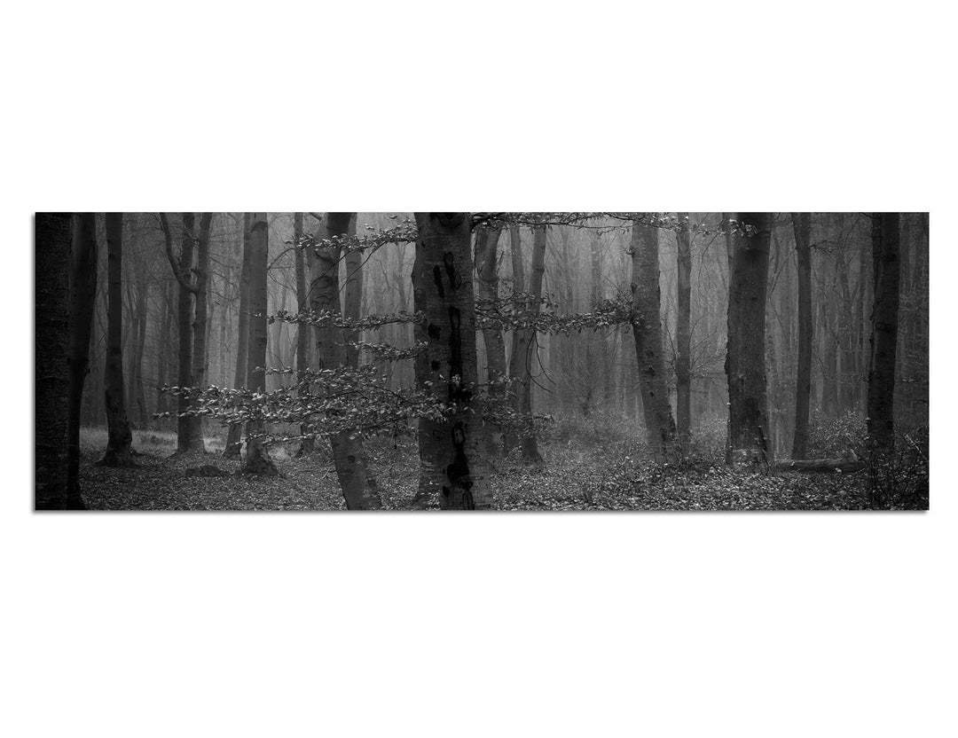 Paul Sinus Art Leinwandfoto als Panorama SCHWARZ/Weiss 150x50cm Wald Bäume Laub Herbst Nebel