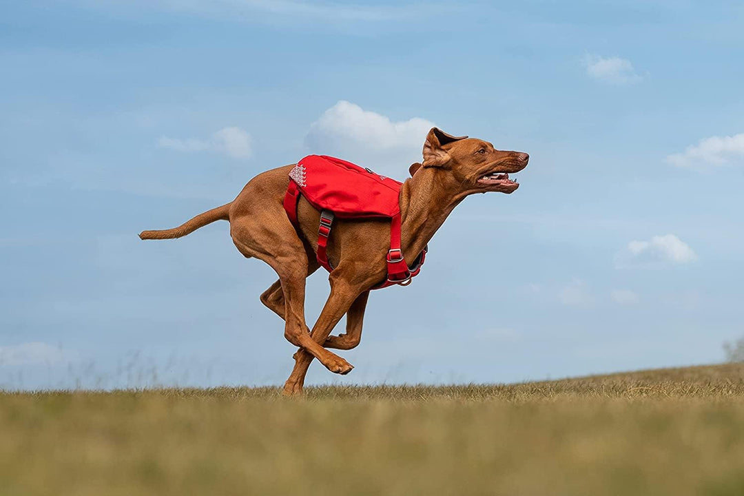 iEnergy™ MIC Hundegeschirr mit Zwei Seitentaschen &amp; ideal für Kurzausflüge, Atmungsaktives, reflekti